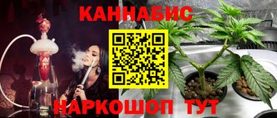 гидропоника Гагарин