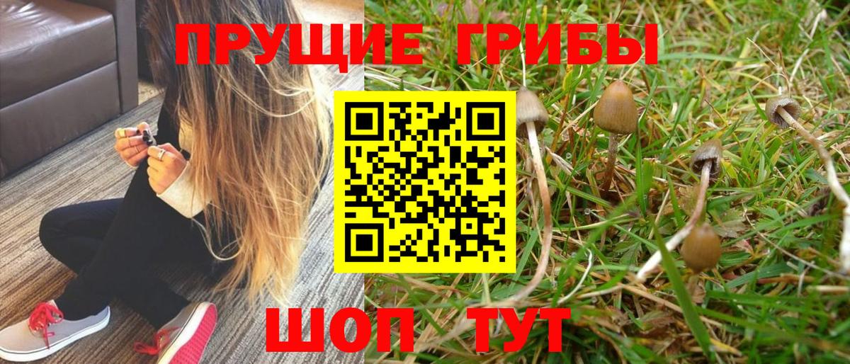 Галлюциногенные грибы GOLDEN TEACHER  Вход с VPN  Добрянка  Псилоцибиновые грибы MAGIC MUSHROOMS 